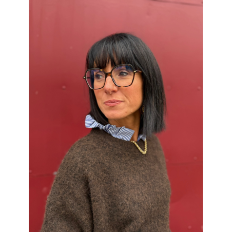 Pull avec col chemise intégré – Marron ou bleu | Melle Jeanne