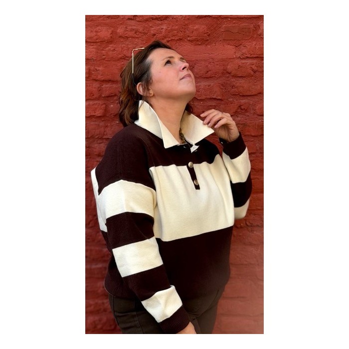 Le pull polo écru et marron – Cosy Édition STYLE PLUS est la pièce parfaite pour affronter la saison avec style et douceur. Sa m