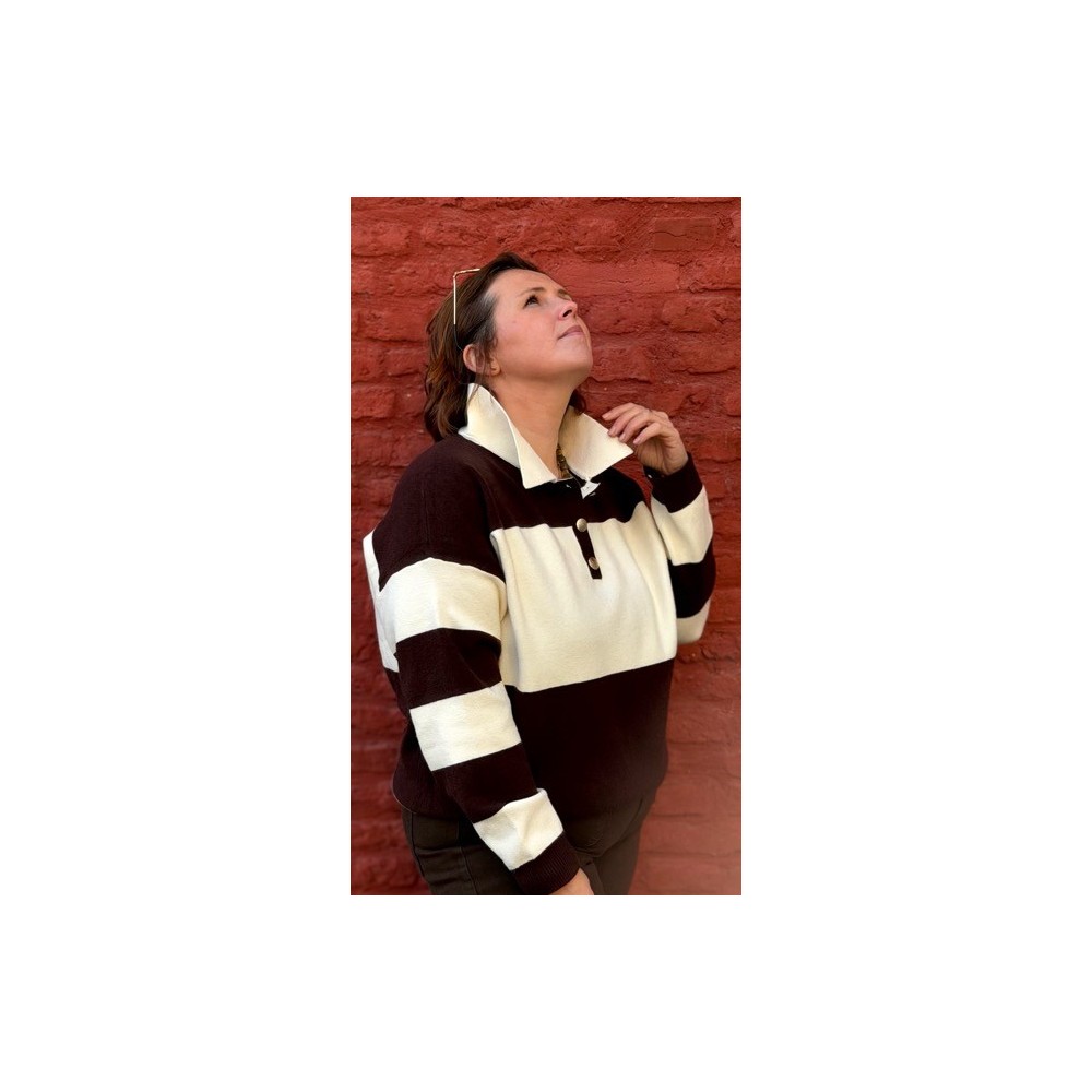 Le pull polo écru et marron – Cosy Édition STYLE PLUS est la pièce parfaite pour affronter la saison avec style et douceur. Sa m