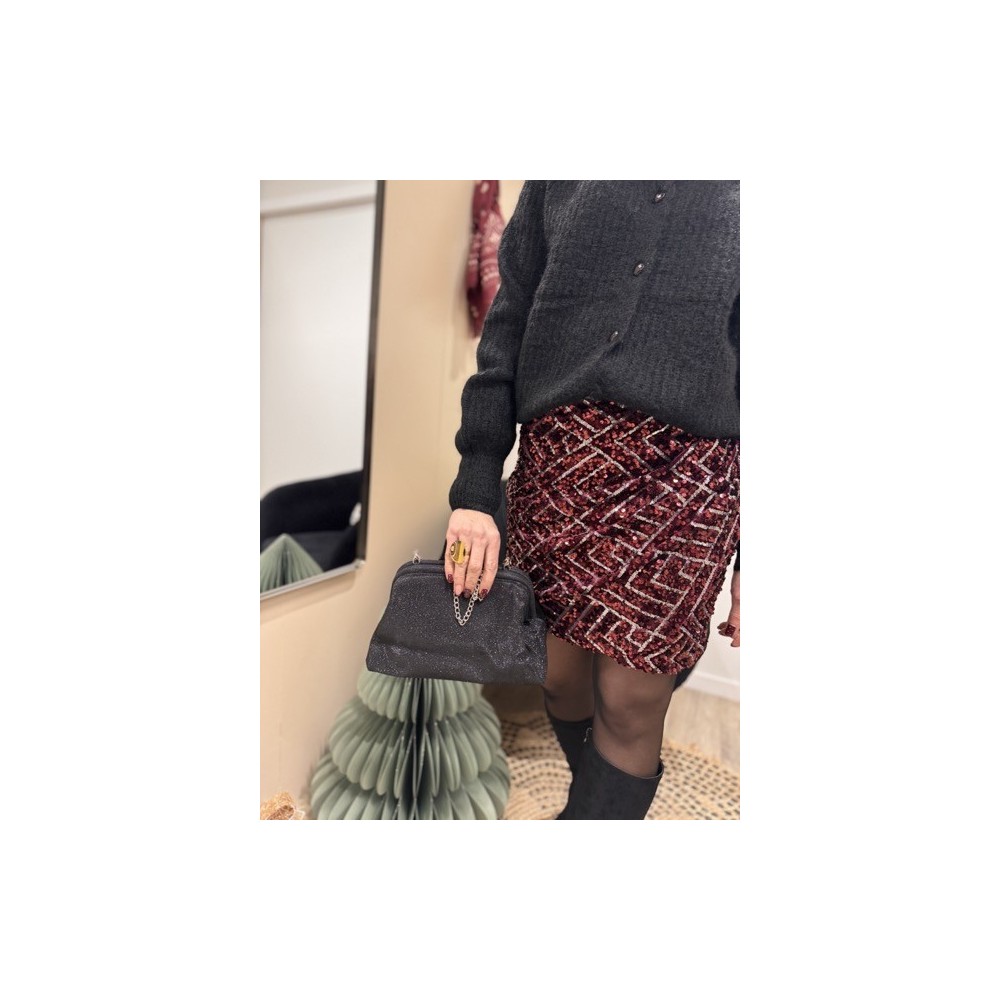 Minaudière à clapet - Chaîne Argentée